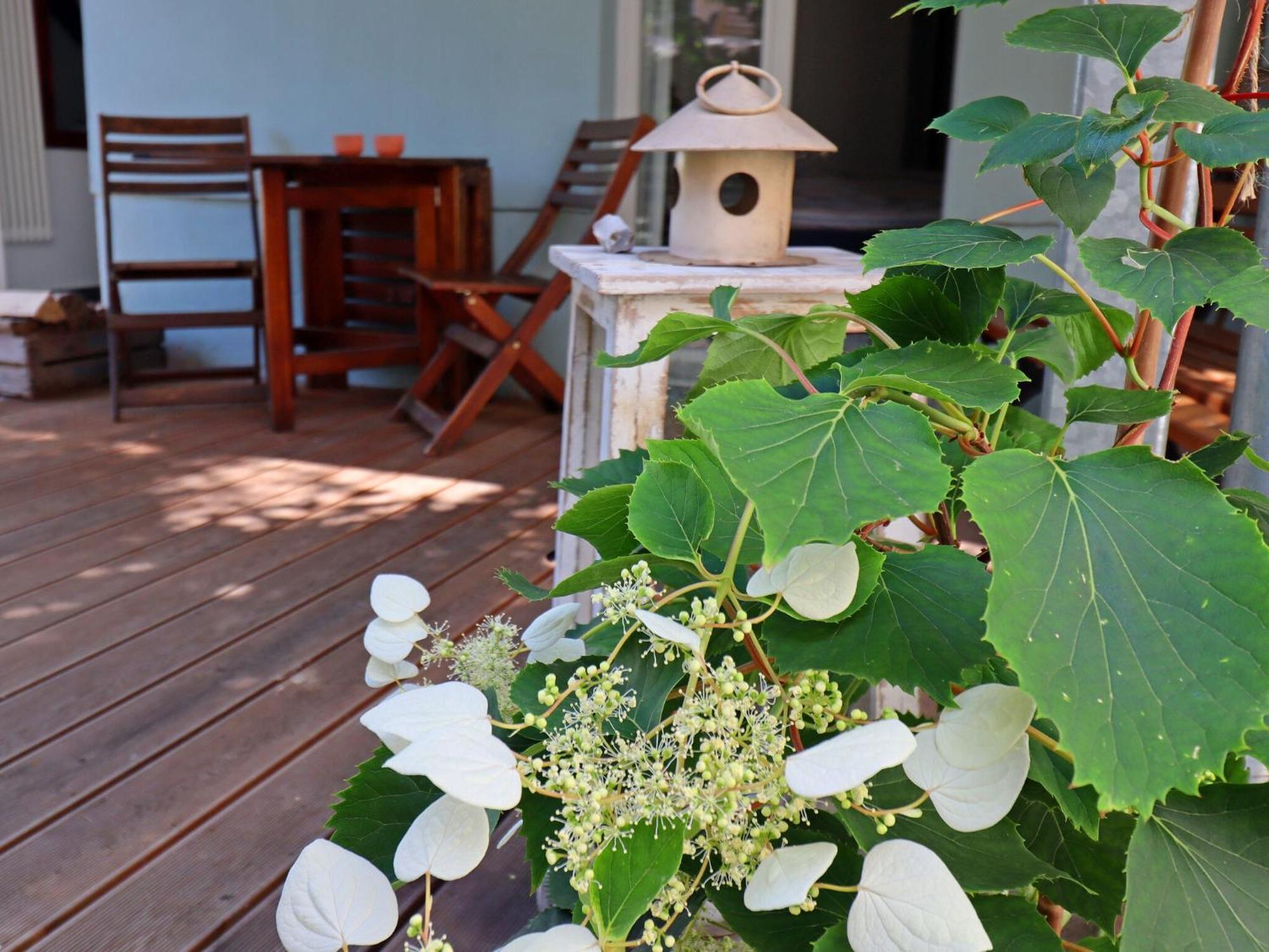 Modern With Garden In Apartment *